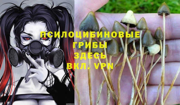 марки lsd Балабаново