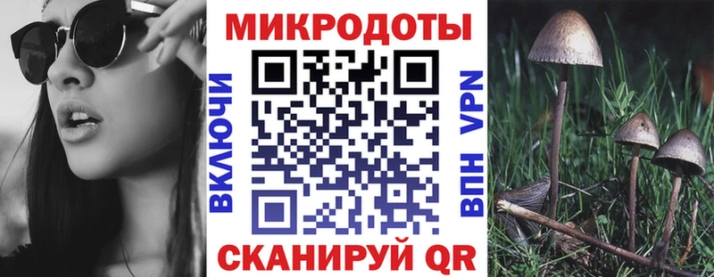 купить наркоту  Болгар  Псилоцибиновые грибы мухоморы 